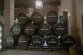 Jerez de la Frontera, Sherry bodega